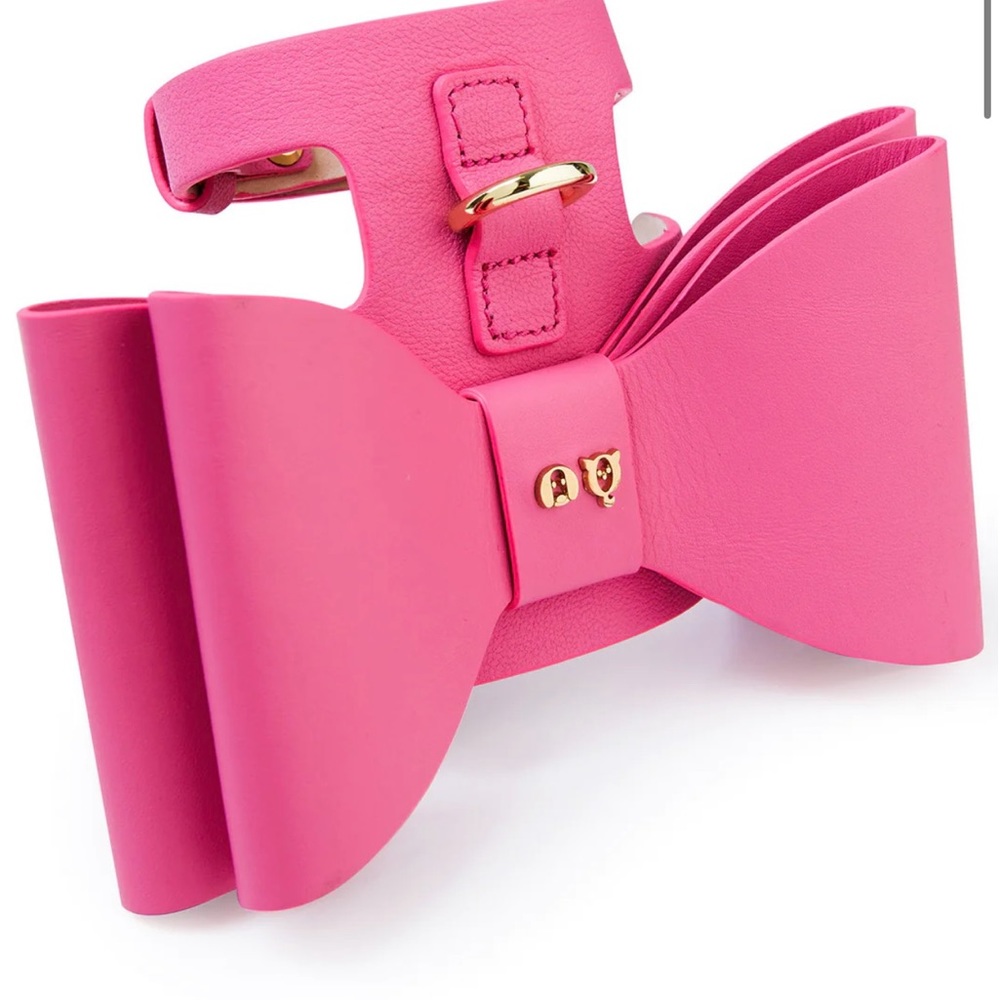 Paris Hilton & Moshiqa Doggy Harness